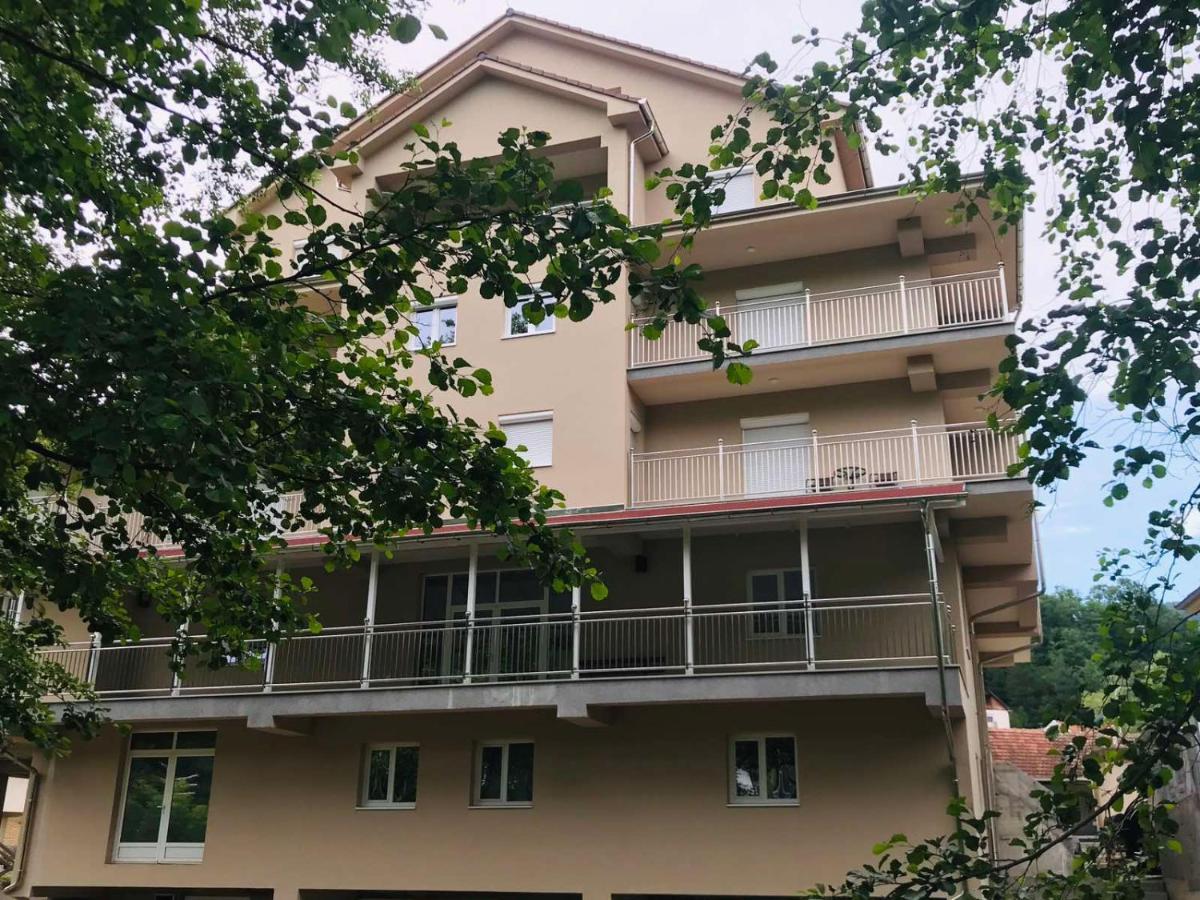 Apartmani & Spa Matin Breg Josanicka Banja Exterior photo